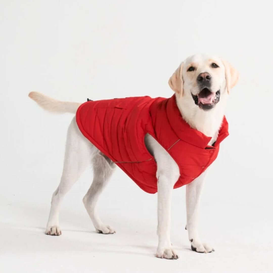 WarmShield Quilted Water-Resistant Dog Jacket – Cozy and Stylish Pet Coat