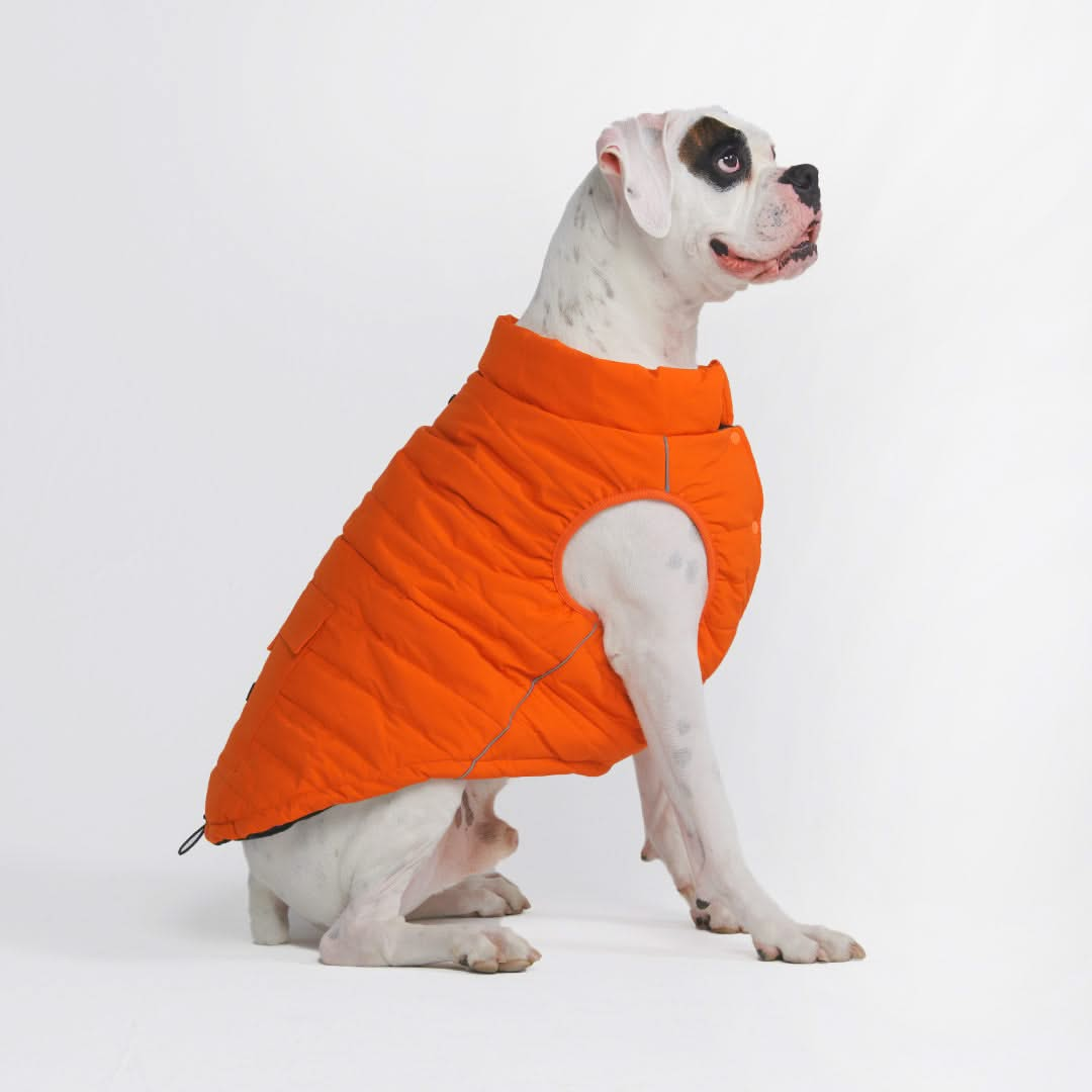 WarmShield Quilted Water-Resistant Dog Jacket – Cozy and Stylish Pet Coat