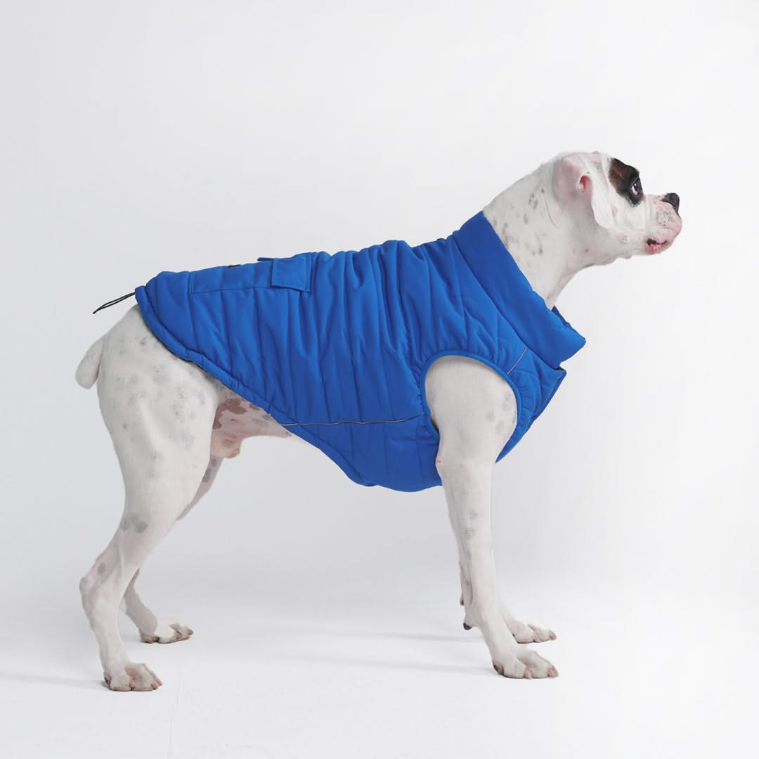 WarmShield Quilted Water-Resistant Dog Jacket – Cozy and Stylish Pet Coat