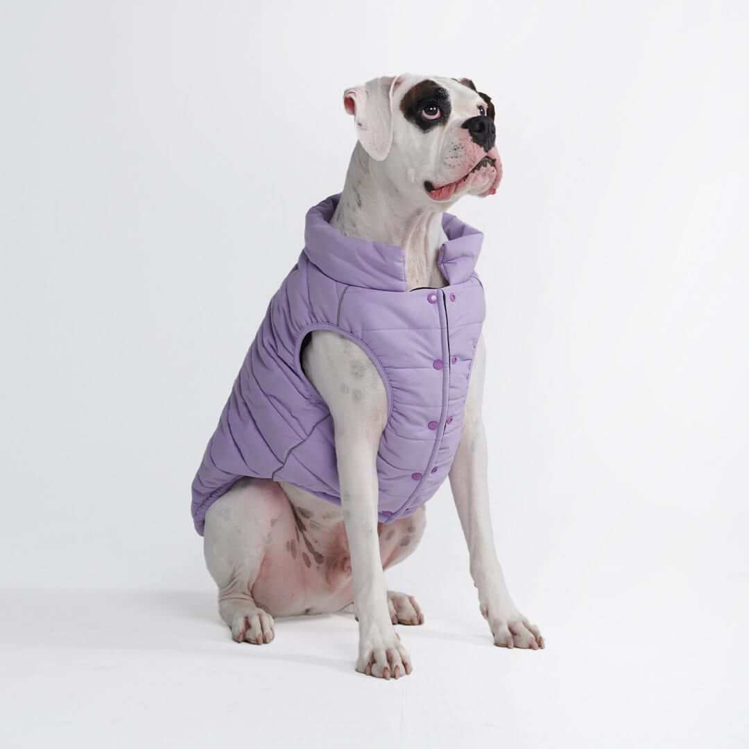 WarmShield Quilted Water-Resistant Dog Jacket – Cozy and Stylish Pet Coat