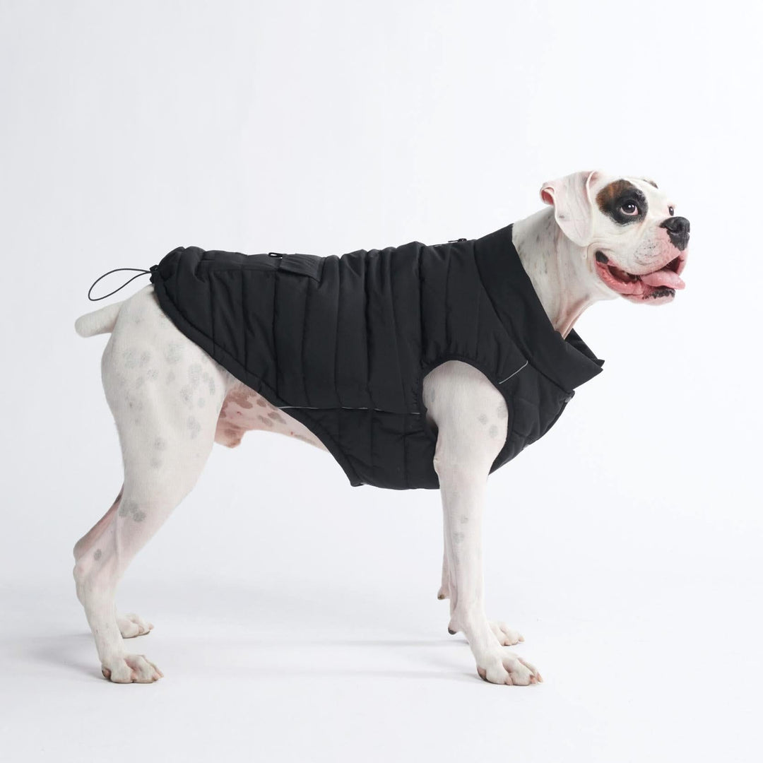 WarmShield Quilted Water-Resistant Dog Jacket – Cozy and Stylish Pet Coat