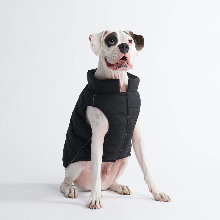 WarmShield Quilted Water-Resistant Dog Jacket – Cozy and Stylish Pet Coat