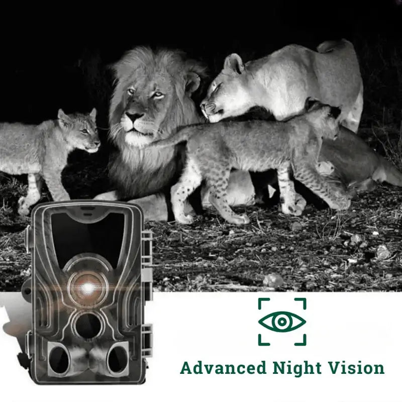 HD Night Vision Wildlife Camera - Outdoor Trail Camera for Animal Monitoring