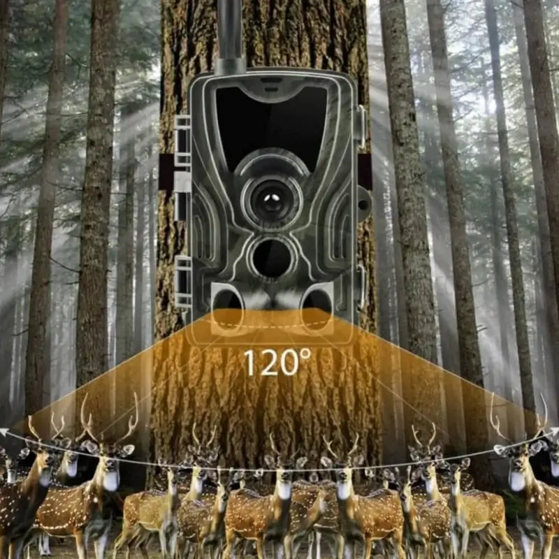 HD Night Vision Wildlife Camera - Outdoor Trail Camera for Animal Monitoring