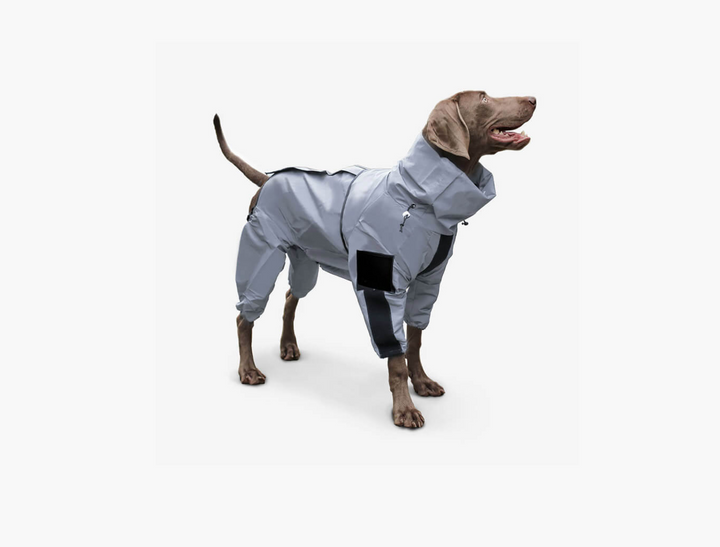 Reflective All-Weather Waterproof Space Coat Dog Rain Jacket – Ultimate Outdoor Protection