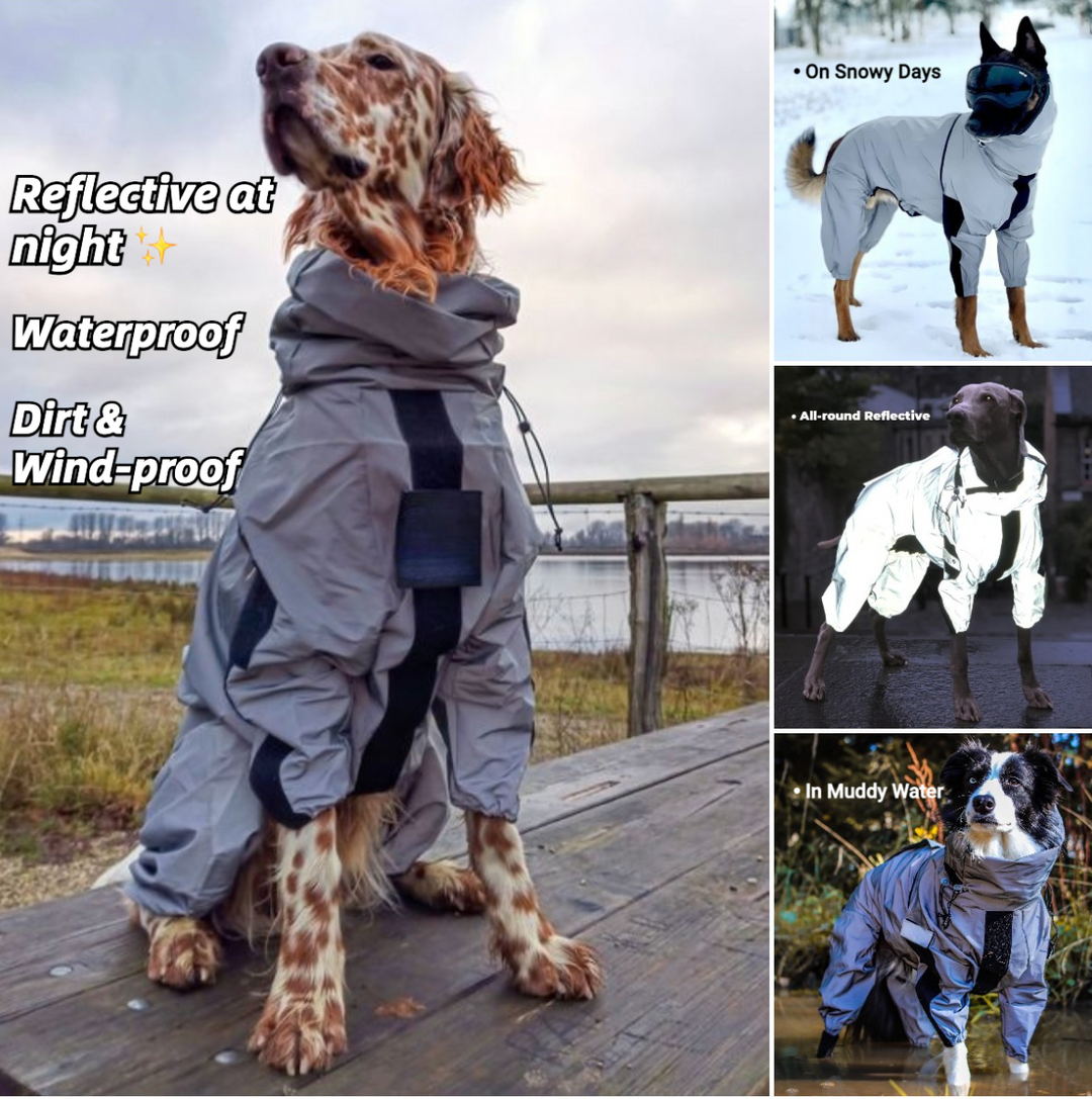 Reflective All-Weather Waterproof Space Coat Dog Rain Jacket – Ultimate Outdoor Protection