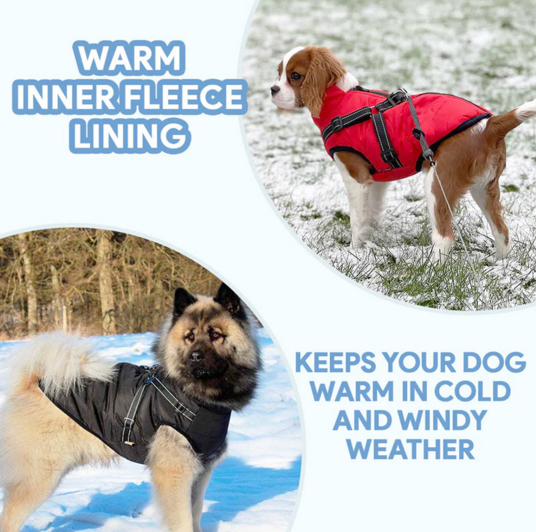 Cozy Dog Fleece Coat – Warm & Comfortable Dog Jacket for Cold Weather