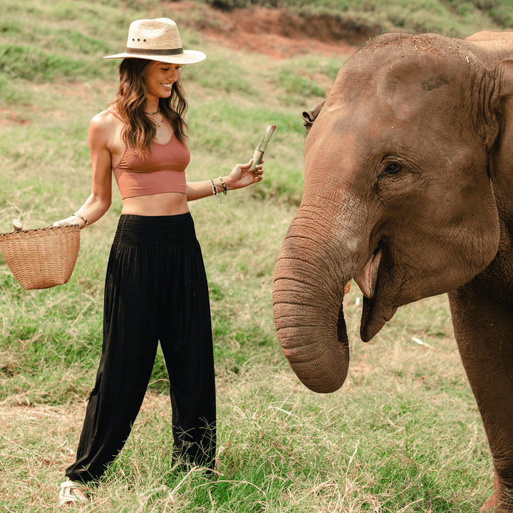 Black Harem Pants