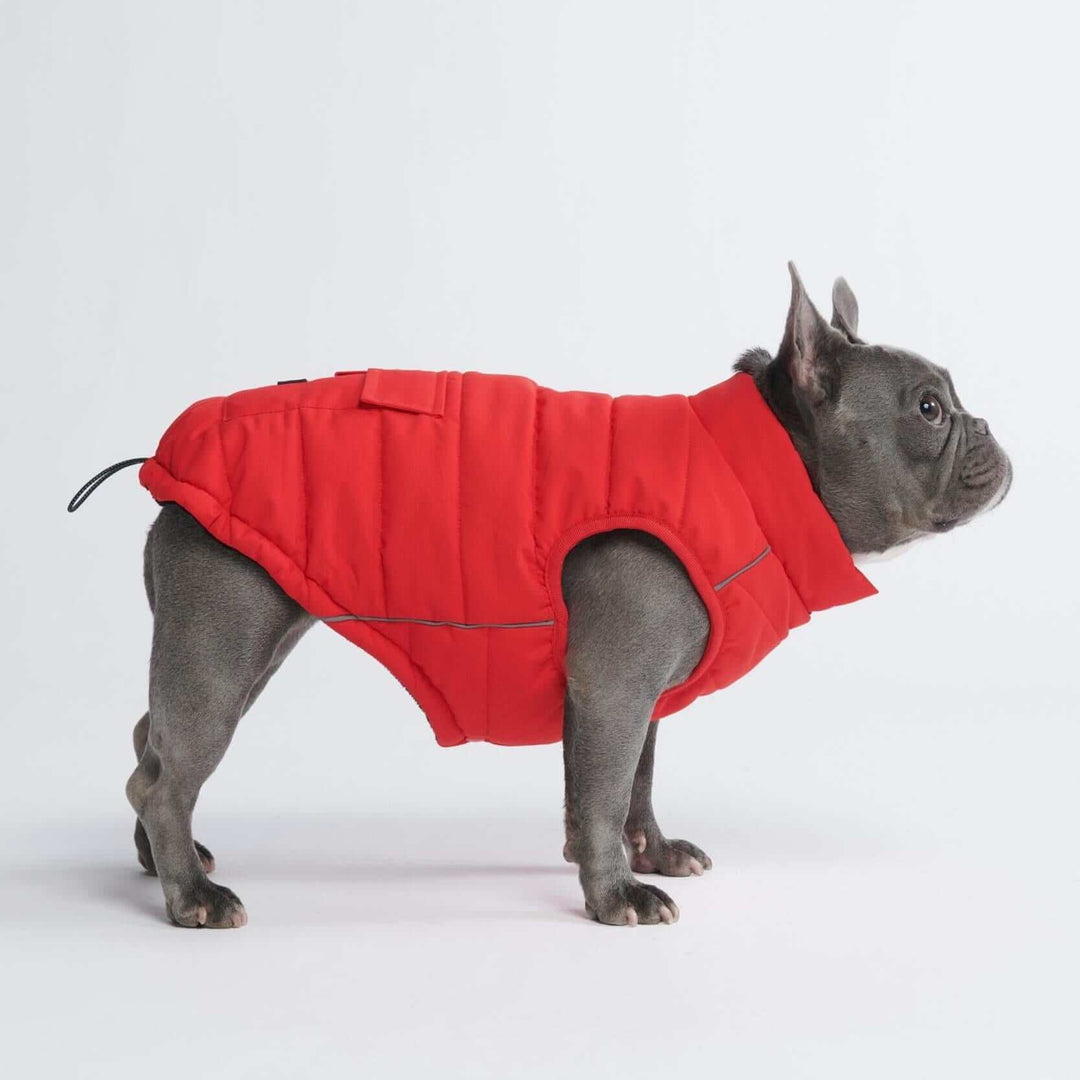 WarmShield Quilted Water-Resistant Dog Jacket – Cozy and Stylish Pet Coat